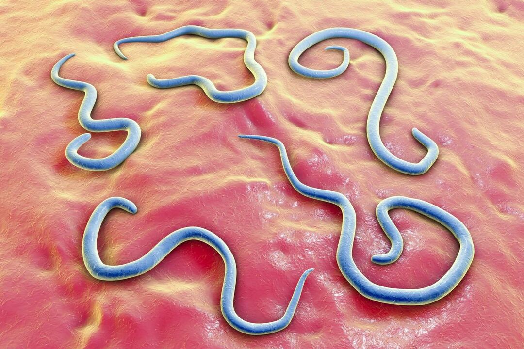 Worms that live in the human body