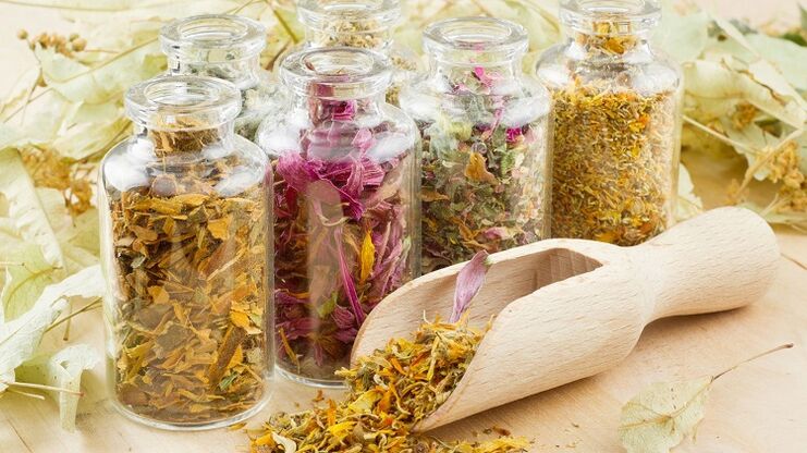 Herbs to clean the body of parasites