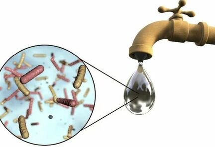 Parasite dripping from crane