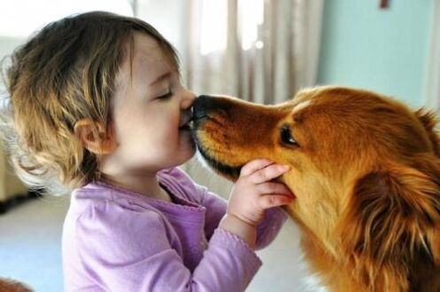 Worm infection in dogs